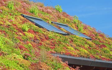Hazlemere living roof systems